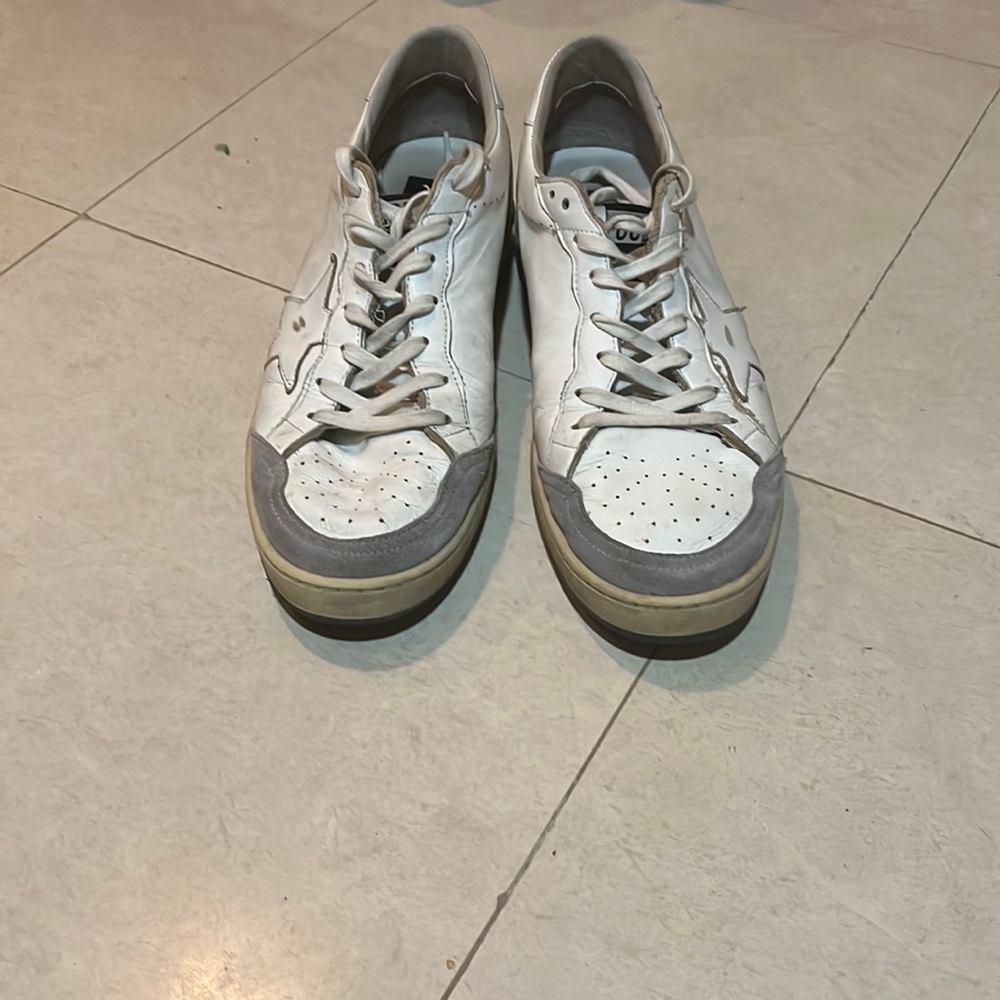 White and grey golden goose
